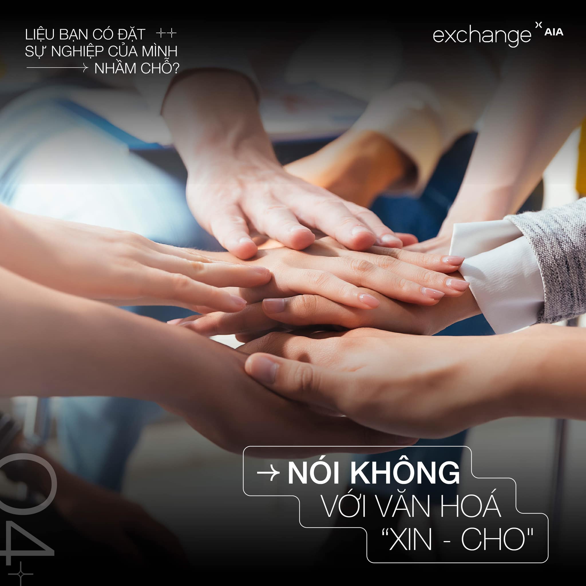 lĩnh vực hoạt động